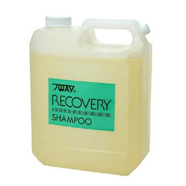ニューウェイ ジャパン リカバリーシャンプー  4L