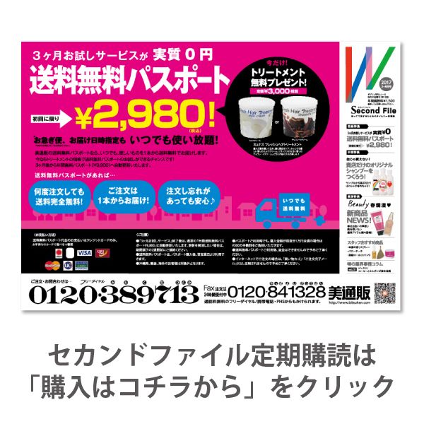 セカンドファイル年間購読の申込