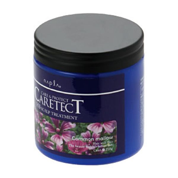 ナプラ ケアテクトHB スキャルプトリートメント  250g