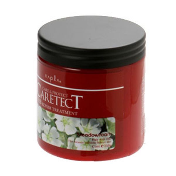 ナプラ ケアテクト HB リペアトリートメント  250g