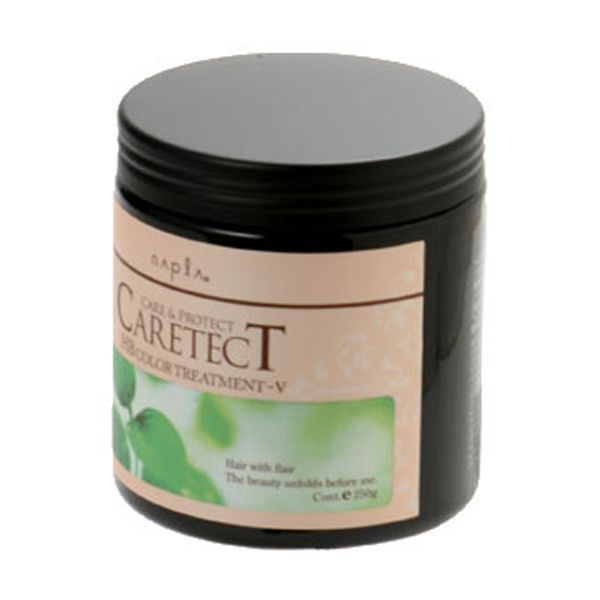 ナプラ ケアテクト HB カラートリートメント V  250g