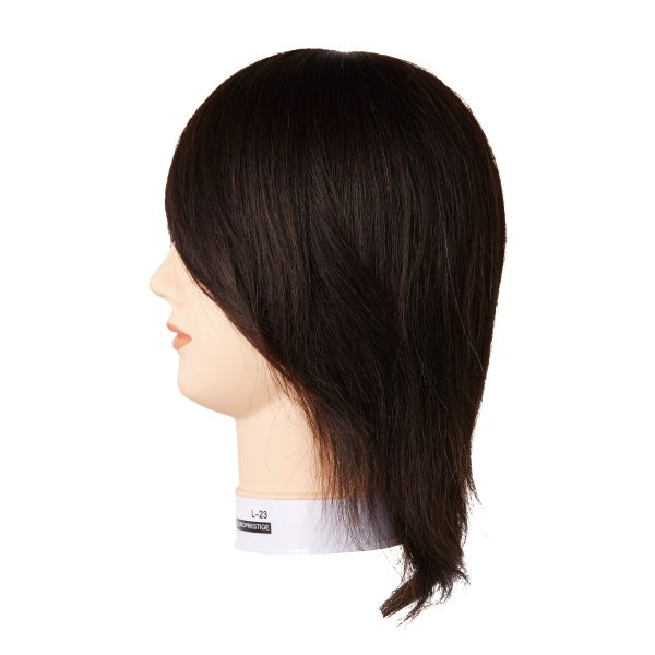 ユーロプレステージ レイヤーカットレッスンウィッグL-23(メイク有りタイプ・人毛100%)