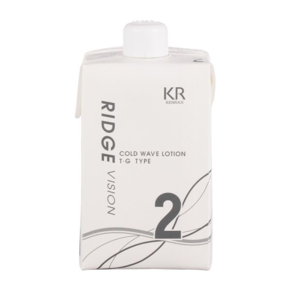 インターコスメ リッジビジョン 2剤  400ml