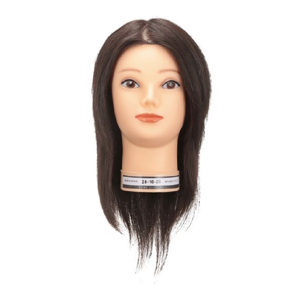 ユーロプレステージ 国家試験用 28-16-25(メイク有りタイプ・人毛100%)