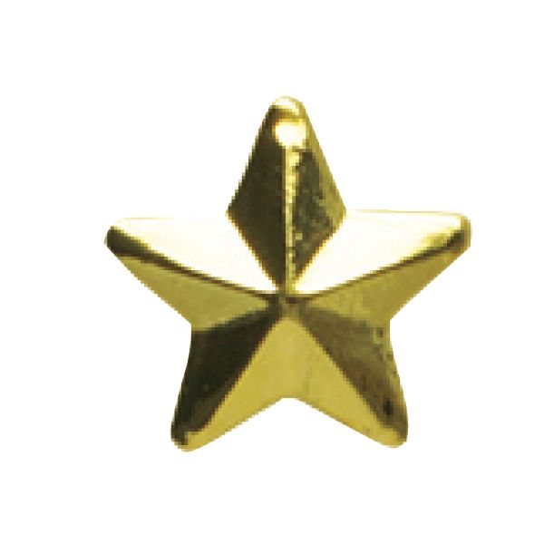 ピアドラ スタッズ タイニースター  2mm