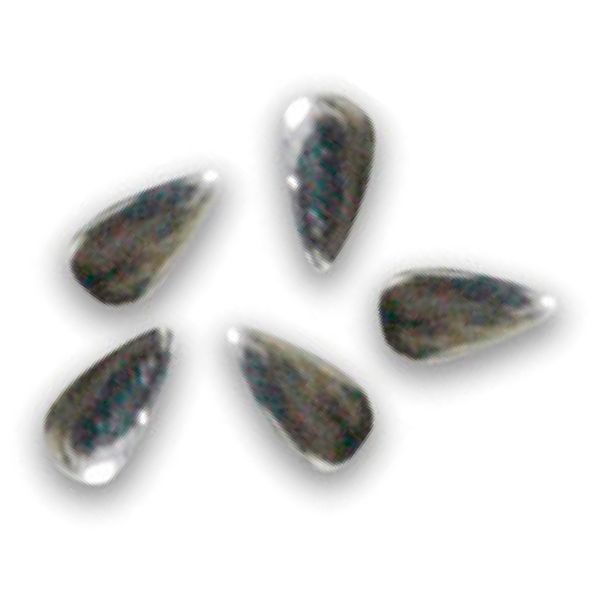 シャレドワ メタルドロップ シルバー