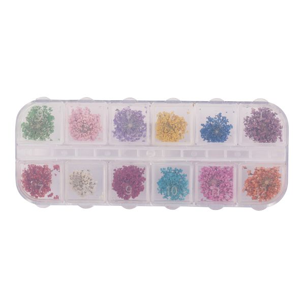 本物のドライフラワー12色セット レース風