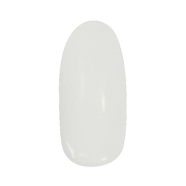 パラジェル アートカラージェル AR1 ホワイト 2g