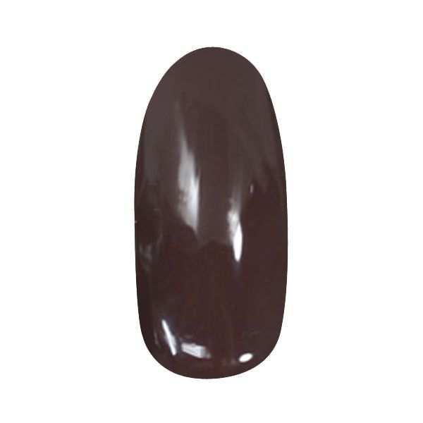 パラジェル アートカラージェル AR14 チョコ 2g