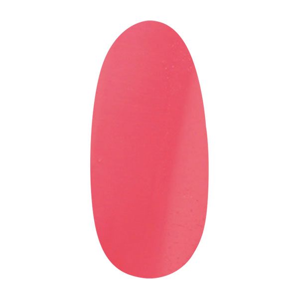 プティール カラージェル 310 ラフレーズ 2g