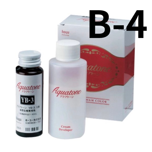 ホーユー アクアトーン B-4 (40ml+80ml)
