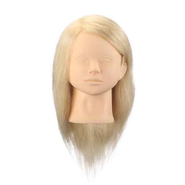 ブロンズウイッグ BR-01(カラー対応・人毛100%)【3日間新品保証付】