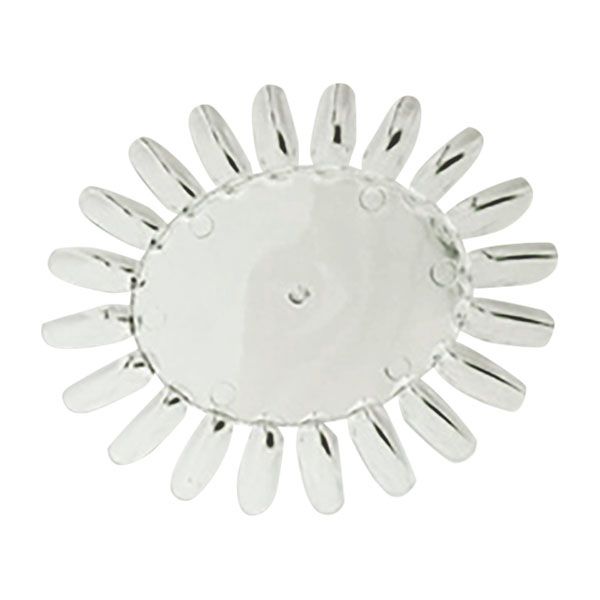 BEAUTY NAILER ラウンドカラーチャート NCC-5 クリア