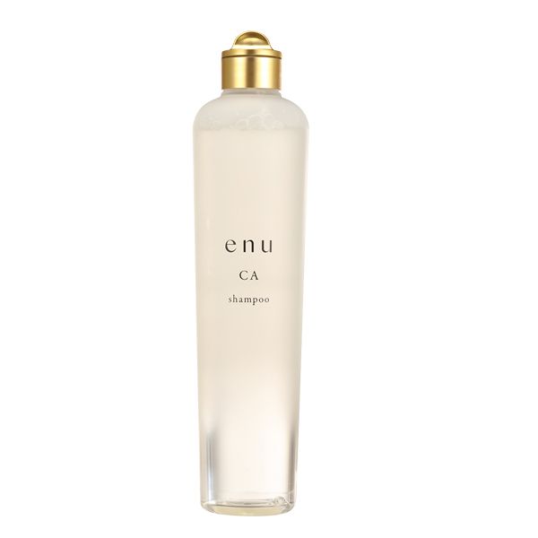 中野製薬 エヌ シャンプー CA 300ml