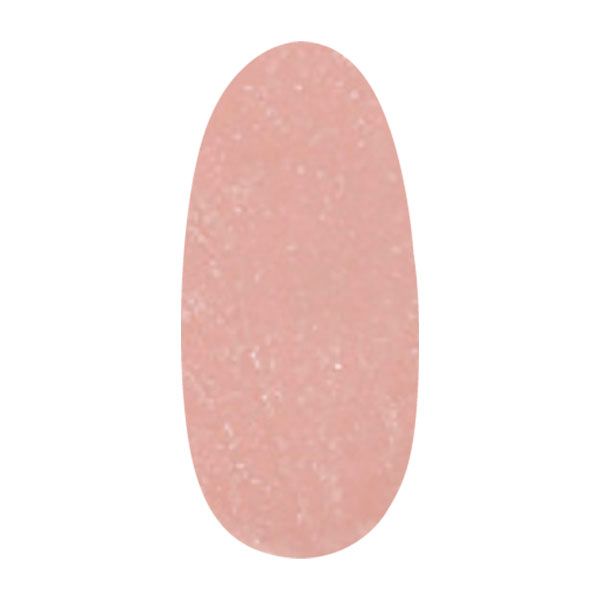 パラジェル アートカラージェル ST05 シースルーベージュ 2g