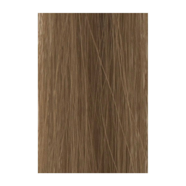 プリシラ 増毛エクステンション 1ループ4本タイプ 10 ライトブラウン(225束 900本) 40cm