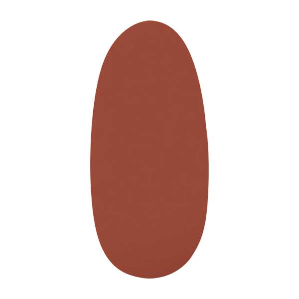 パラシェル アートカラージェル S053 カネル 4g