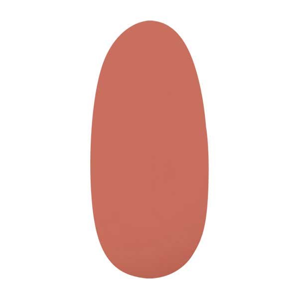 パラシェル アートカラージェル S057 ベビーリップ 4g