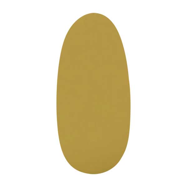 パラシェル アートカラージェル S058 バターナッツ 4g