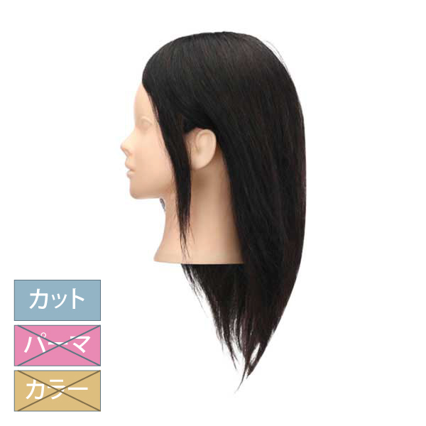 B-08 カットウイッグ(カット専用・人毛100％)【3日間新品保証付】
