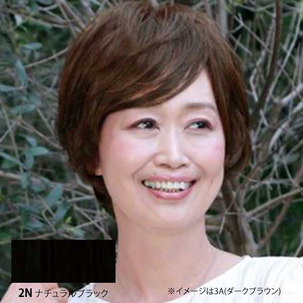 プリシラ プレミアム 白髪隠しウイッグ ナチュラルストレートタイプ ST-009 2N(ナチュラルブラック)