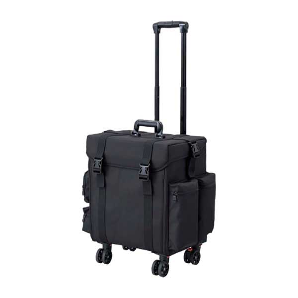 アーティストキャリアーSE AC-24C01