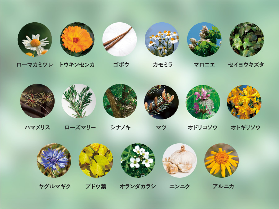17種類の植物エキス
