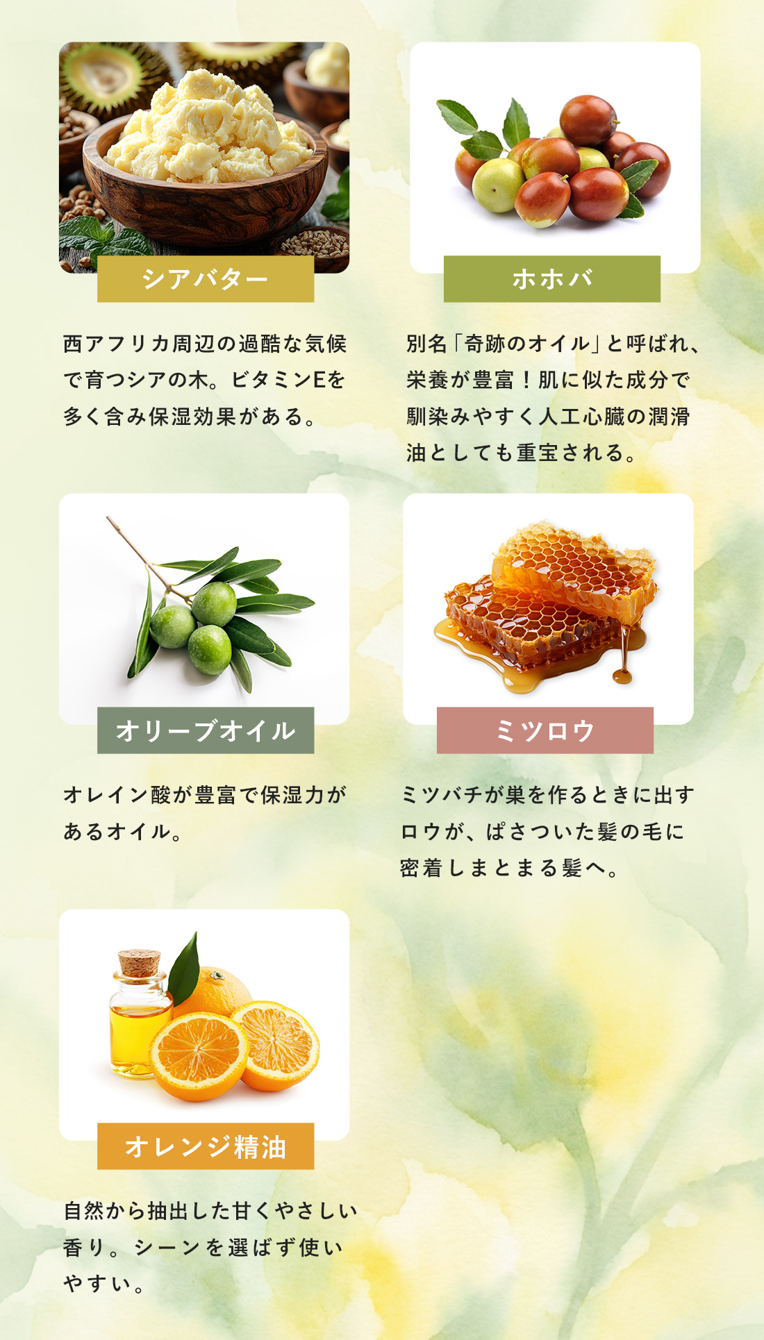 成分は厳選した5種類のみ！