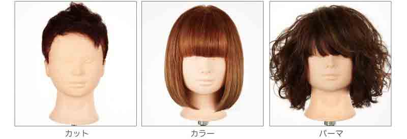 カット、パーマ用ののウィッグの写真